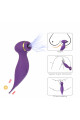 Oiseau du Paradis Vibro 2 en 1 Violet Dreamy Toys