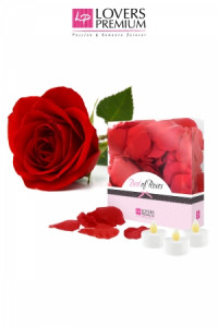 Pétales de Rose Romantique & Bougies LeD Lover's Premium