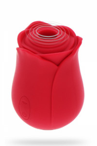 Stimulateur Clitoridien Ravishing Rose Toy Joy