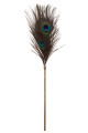 Plumeau à Caresses Oeil de Paon Peacock Tickler Taboom