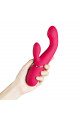 Vibro Point G et Stimulateur de Clitoris Rose Honey Play box