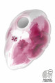 Stimulateur Clitoridien par Onde de Pression sans Contact et Vibration USB Rose et Blanc