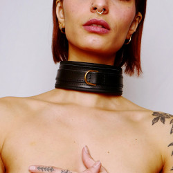 Collier Cuir Molletonné et Attaches Dorées Fetish SM BDSM