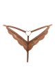String Bijou Cœur Doré Dentelle Taupe Be Lily Panties