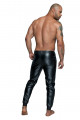 H063 Treggings Powerwetlook