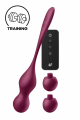 Boules de Geisha Vibrantes Love Birds Vary Satisfyer