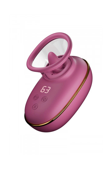 Pompe Clitoris Léchage et Vibrations