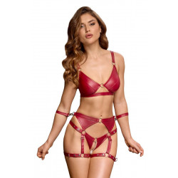 Set Bondage Soutien-Gorge et Culotte à Jarretelles Ouverte rouge 