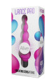 Petit Stimulateur Anal Lance Pro