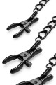 Pinces pour Tetons et Clitoris