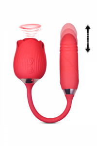 Stimulateur à Va et Vient et Aspiration DIK
