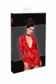 Mini Robe Transparente Club Libertin Dentelle Rouge 