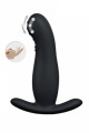 Plug Anal Prostate Doigté