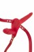 Gode Ceinture Double Rouge